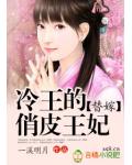 替嫁:冷王的俏皮王妃